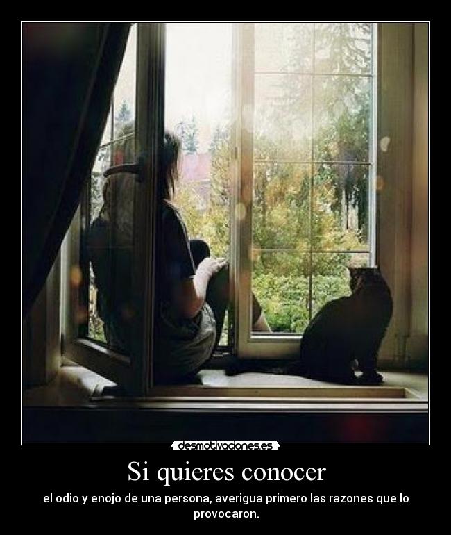 Si quieres conocer - el odio y enojo de una persona, averigua primero las razones que lo provocaron.