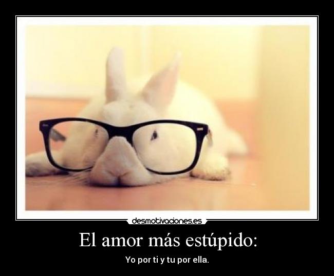 El amor más estúpido: - Yo por ti y tu por ella.