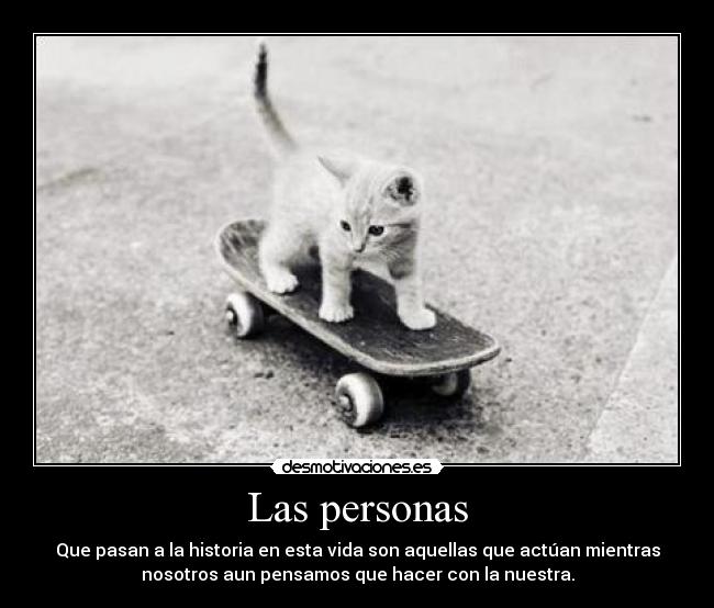 carteles gato skate quiero principal amo samm pechocha miss you flujo prosceso desmotivaciones