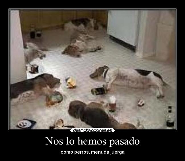 Nos lo hemos pasado -