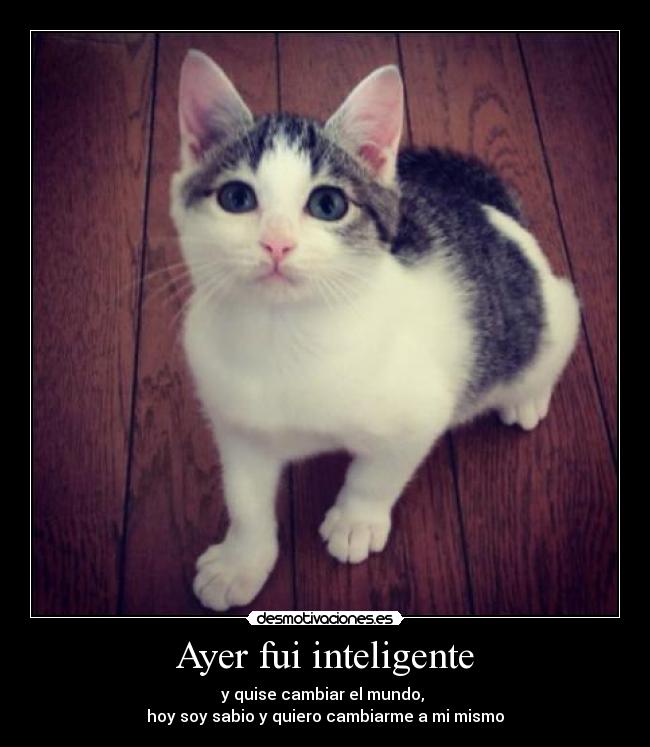 Ayer fui inteligente - y quise cambiar el mundo, 
hoy soy sabio y quiero cambiarme a mi mismo