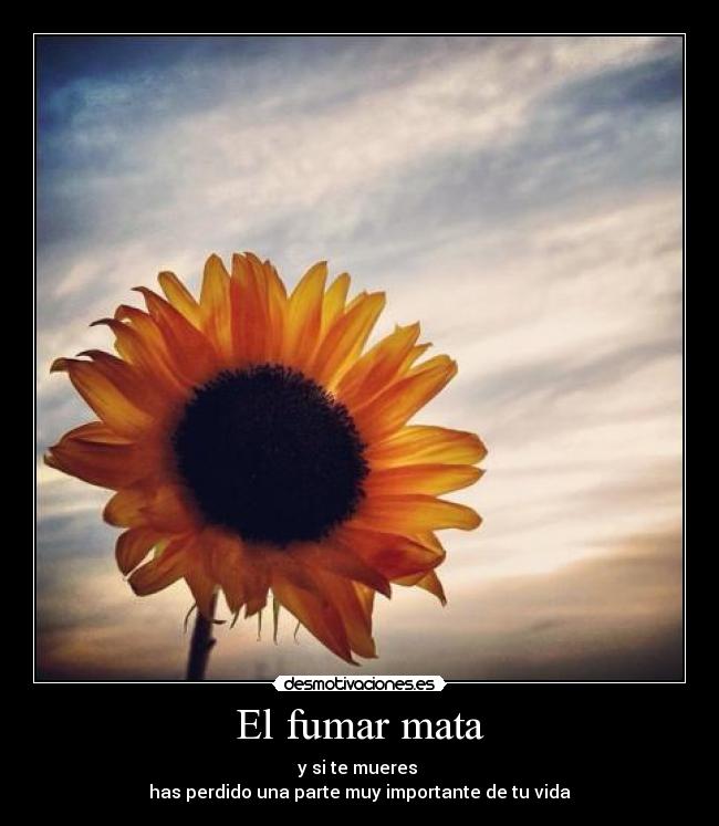 El fumar mata - y si te mueres 
has perdido una parte muy importante de tu vida