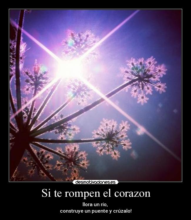 Si te rompen el corazon - llora un río, 
construye un puente y crúzalo!