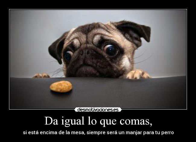 carteles igual que comas desmotivaciones