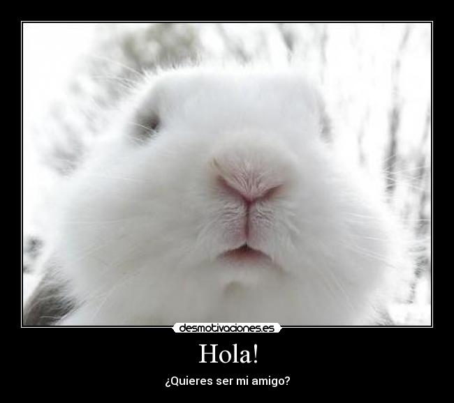 Hola! - ¿Quieres ser mi amigo?