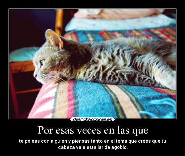 Por esas veces en las que - te peleas con alguien y piensas tanto en el tema que crees que tu
cabeza va a estallar de agobio.