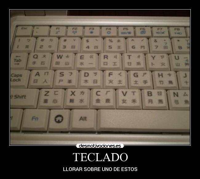 TECLADO - 