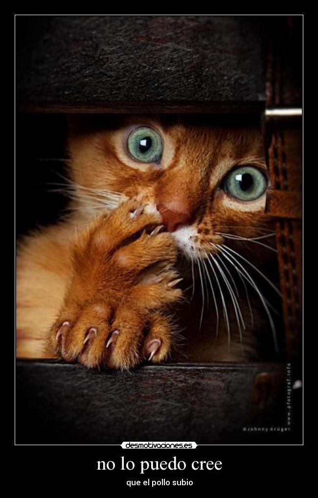 carteles elfenixlorenzo desmotivaciones