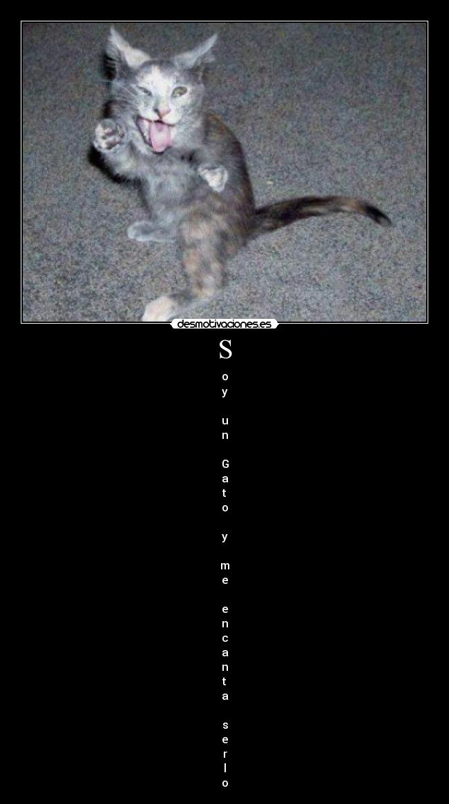 S - o
y

u
n

G
a
t
o

y

m
e

e
n
c
a
n
t
a

s
e
r
l
o