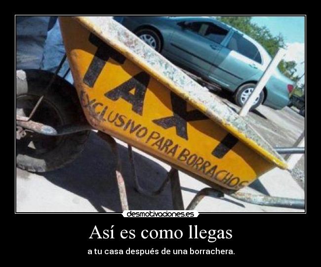 Así es como llegas - a tu casa después de una borrachera.