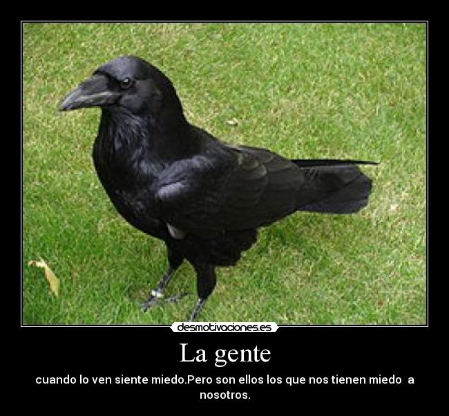 La gente - cuando lo ven siente miedo.Pero son ellos los que nos tienen miedo  a nosotros.