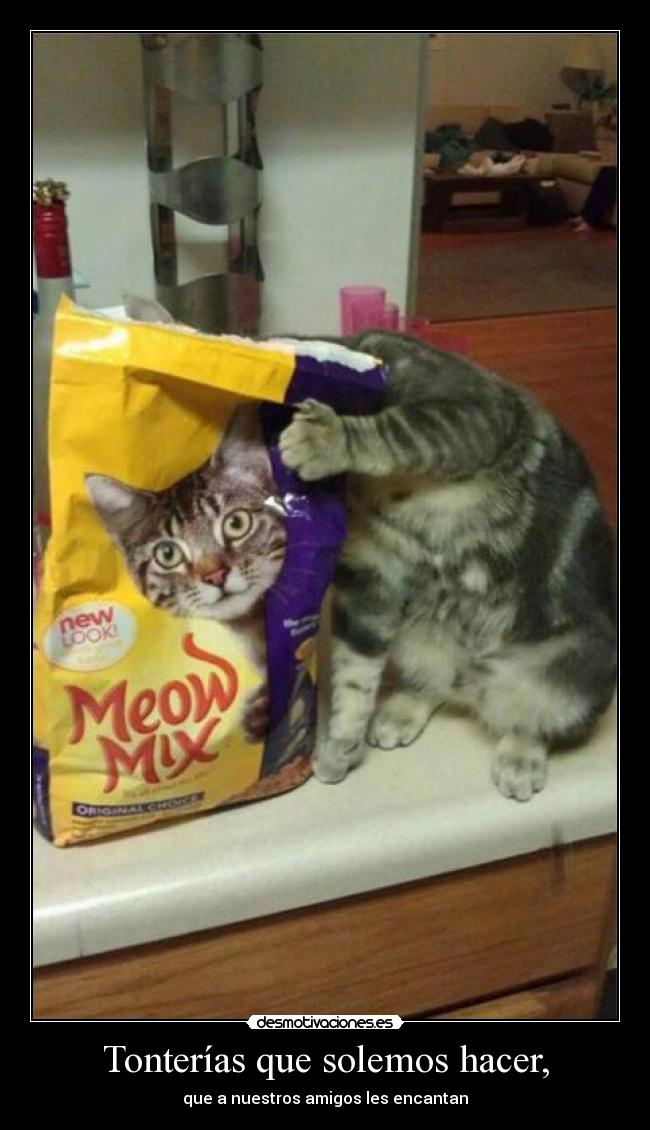 carteles tonterias desmotivaciones