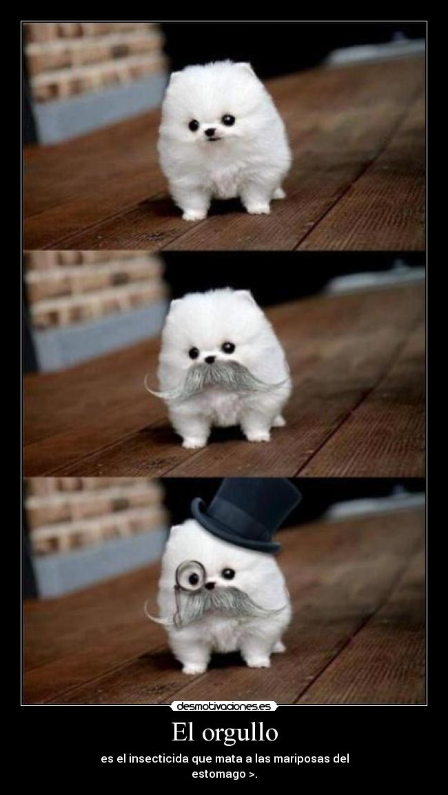 carteles karinna desmotivaciones