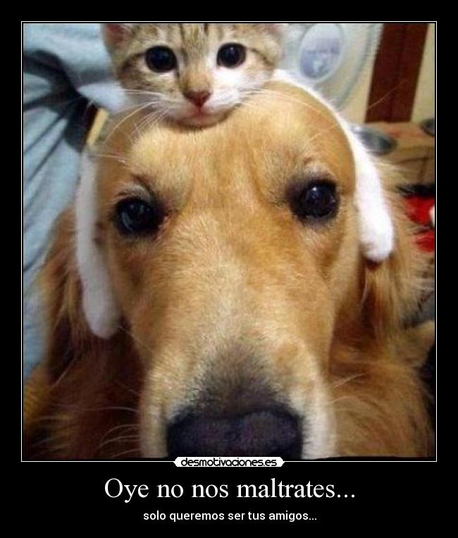 Oye no nos maltrates... - solo queremos ser tus amigos...