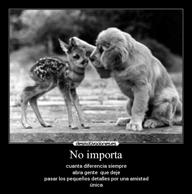 No importa -