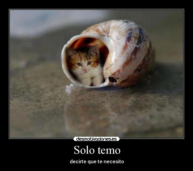 Solo temo -