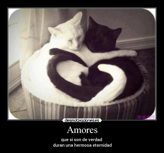 carteles karinna desmotivaciones