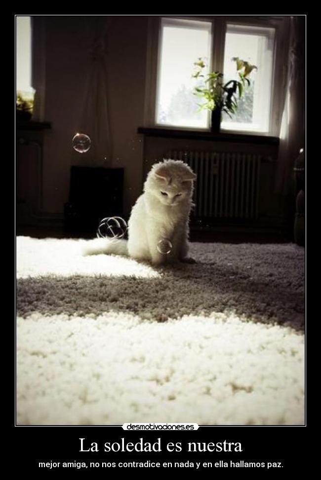 La soledad es nuestra - 