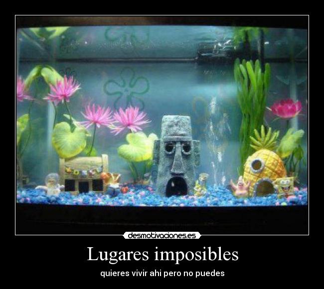 carteles yaso desmotivaciones