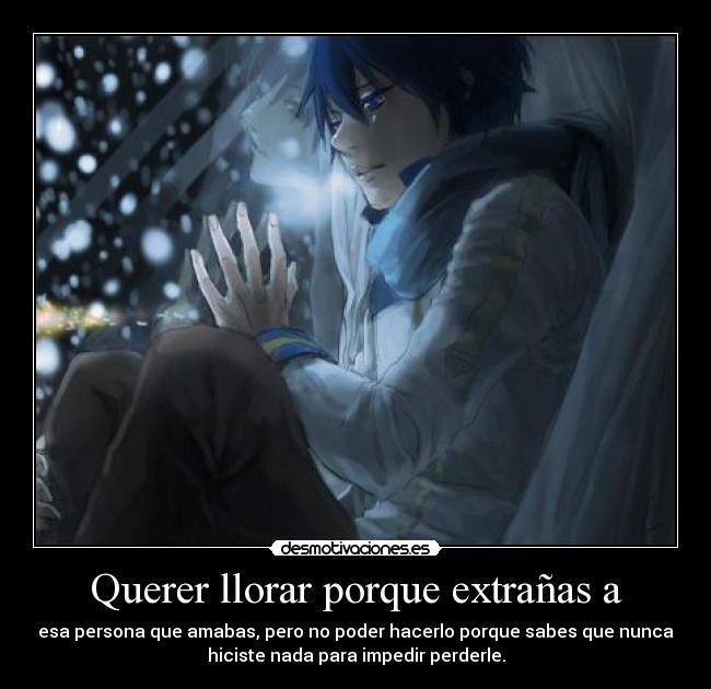 carteles llorar vocaloid kaito shion desmotivaciones
