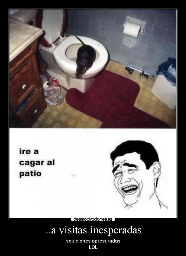 ..a visitas inesperadas - soluciones apresuradas
LOL