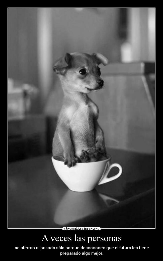 A veces las personas - se aferran al pasado sólo porque desconocen que el futuro les tiene
preparado algo mejor.
