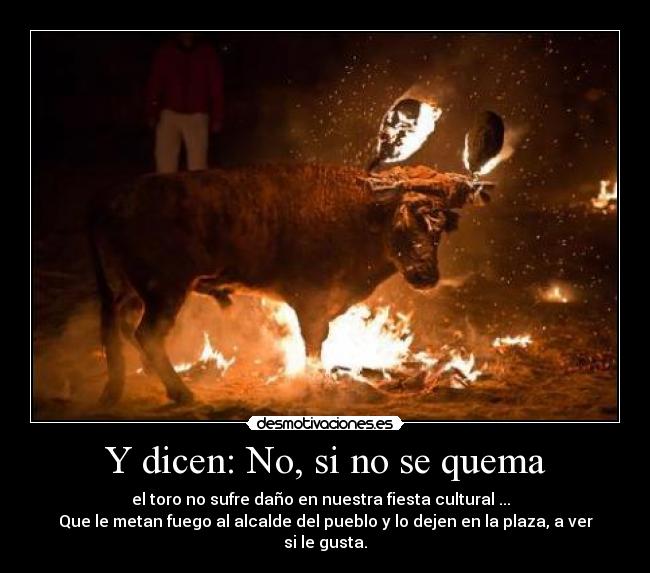Y dicen: No, si no se quema - el toro no sufre daño en nuestra fiesta cultural ...
Que le metan fuego al alcalde del pueblo y lo dejen en la plaza, a ver si le gusta.