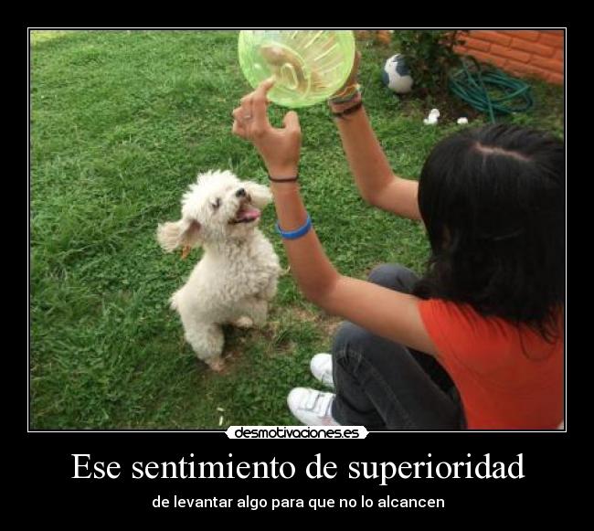 Ese sentimiento de superioridad - 