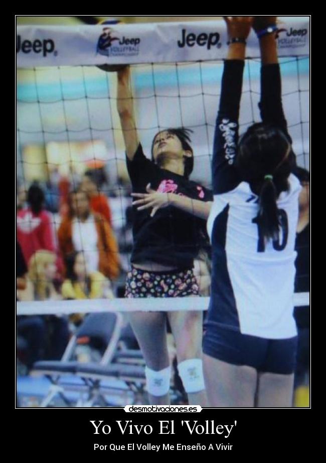 Yo Vivo El Volley -