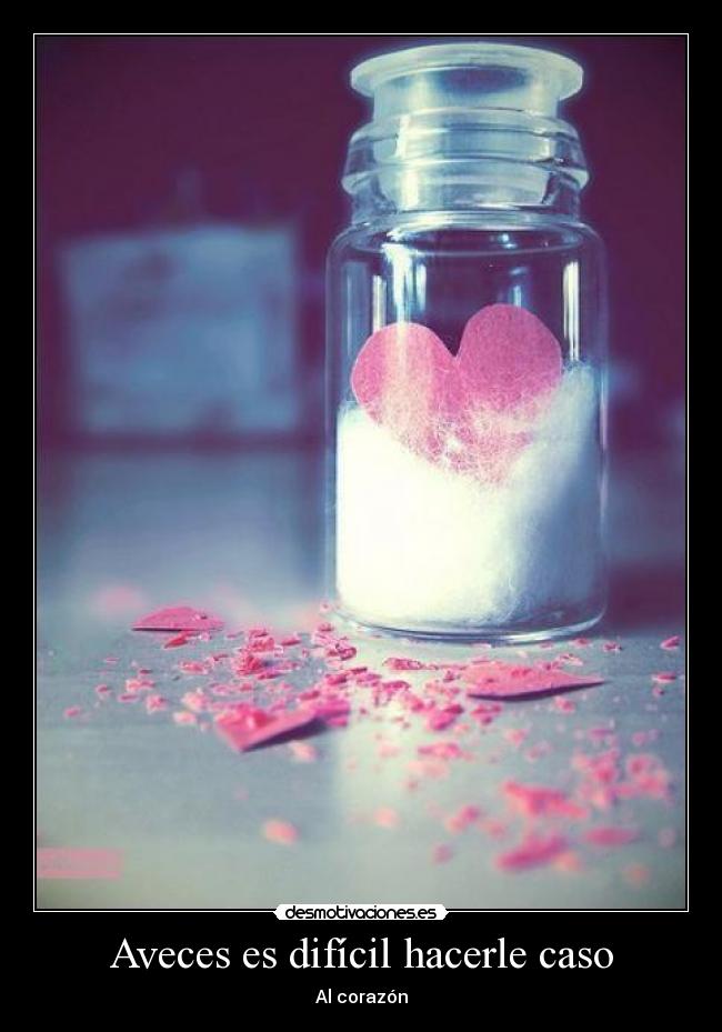 Aveces es difícil hacerle caso -