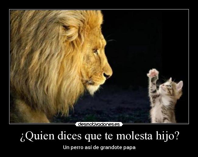 ¿Quien dices que te molesta hijo? -