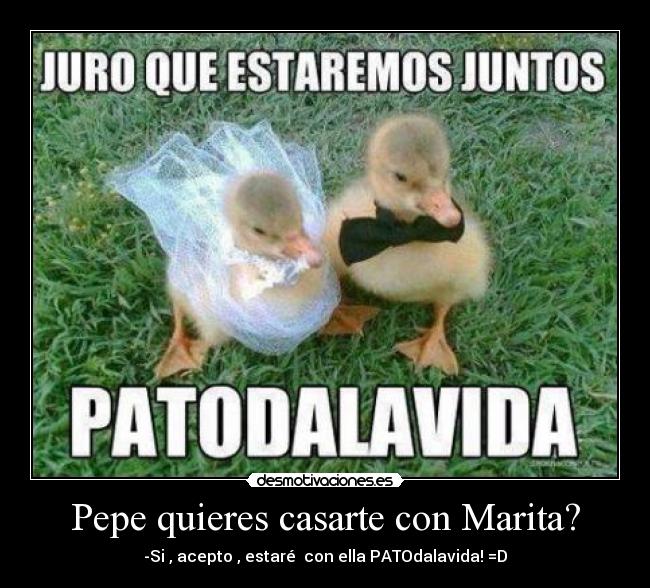 Pepe quieres casarte con Marita? - -Si , acepto , estaré con ella PATOdalavida! =D