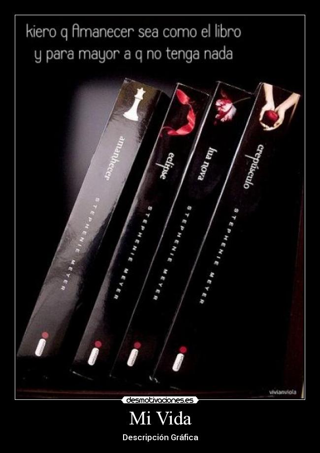 Mi Vida - Descripción Gráfica