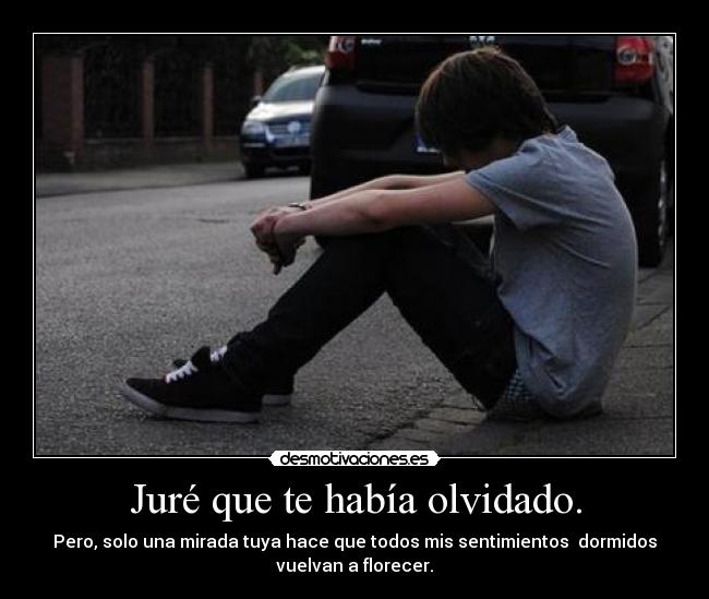 Juré que te había olvidado. - Pero, solo una mirada tuya hace que todos mis sentimientos dormidos
vuelvan a florecer.
