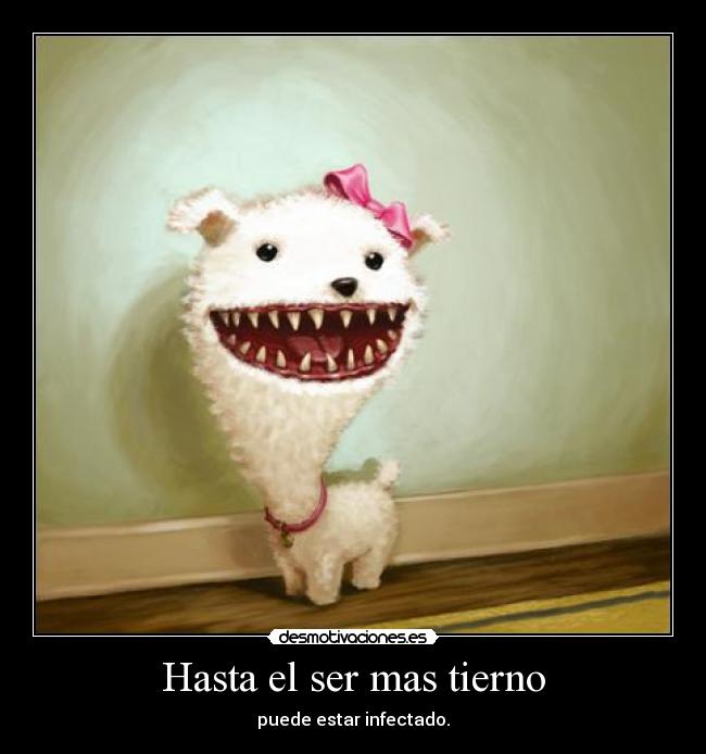 Hasta el ser mas tierno - puede estar infectado.