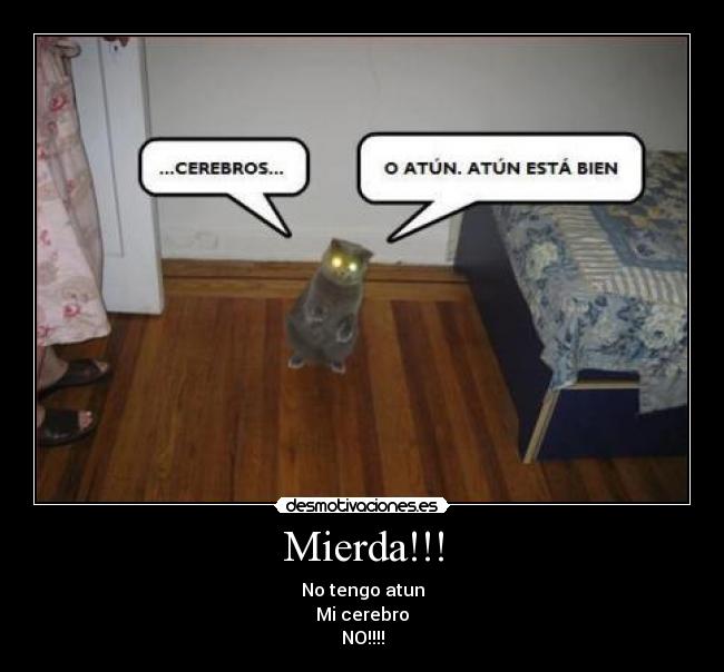 Mierda!!! - No tengo atun
Mi cerebro
NO!!!!