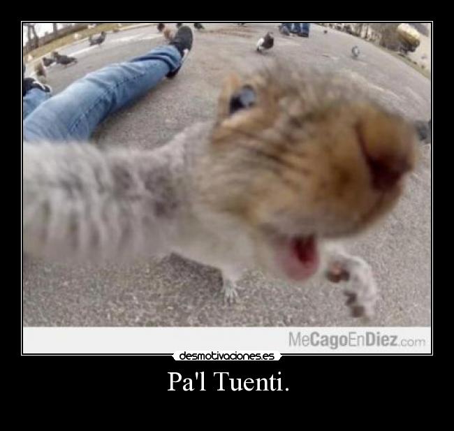 Pal Tuenti. -
