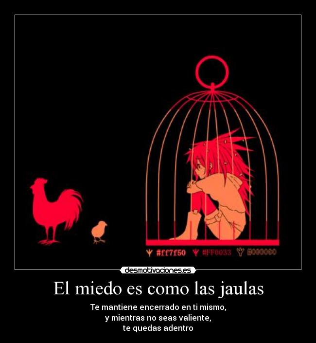 El miedo es como las jaulas -