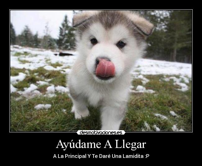 Ayúdame A Llegar - A La Principal Y Te Daré Una Lamidita :P