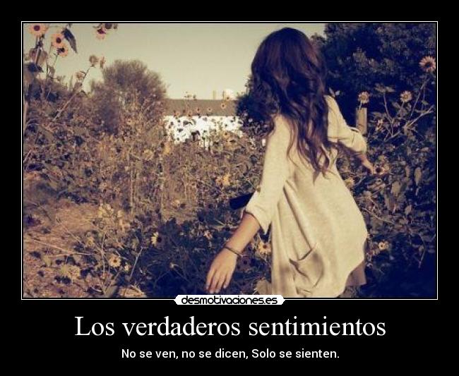 Los verdaderos sentimientos - No se ven, no se dicen, Solo se sienten.