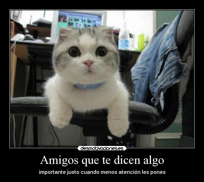 Amigos que te dicen algo - importante justo cuando menos atención les pones