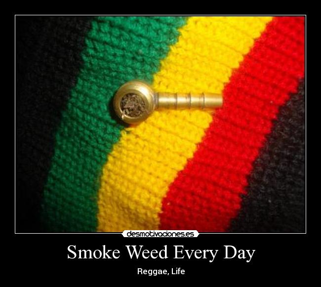 Smoke Weed Every Day - Reggae, Life