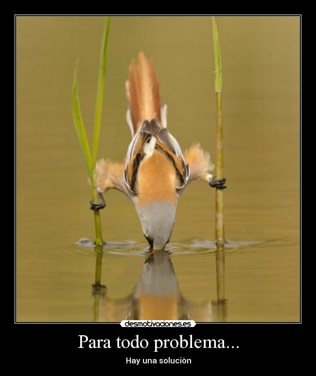 Para todo problema... -