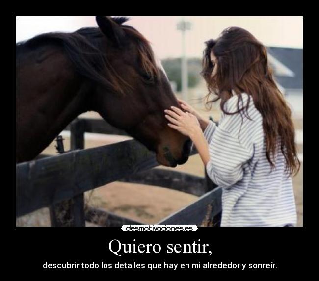 Quiero sentir, - descubrir todo los detalles que hay en mi alrededor y sonreír.