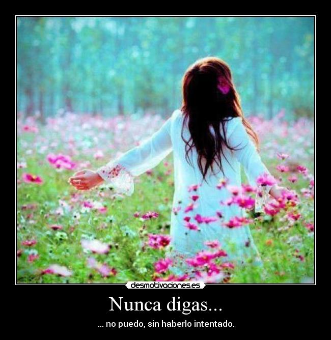 Nunca digas... - 
