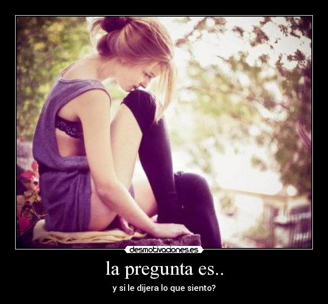 la pregunta es.. -