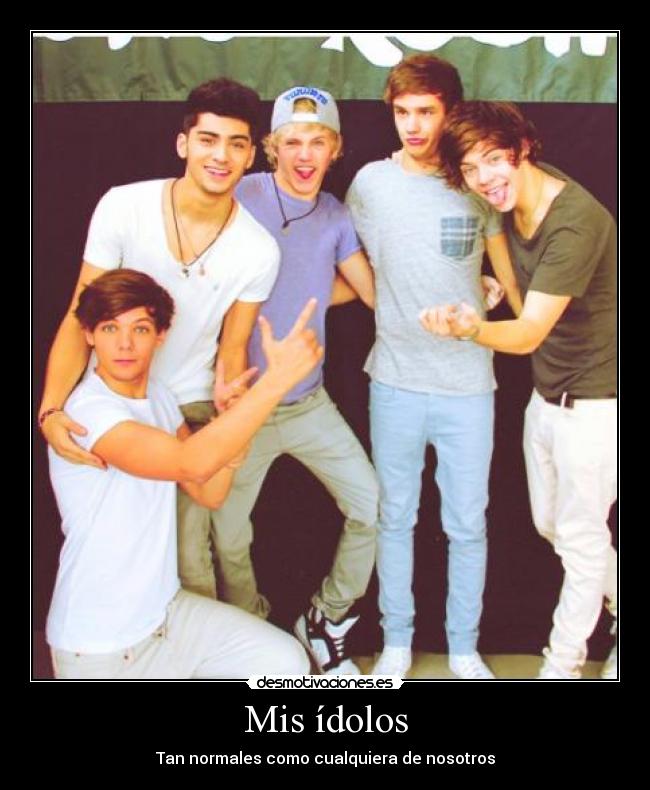 Mis ídolos -