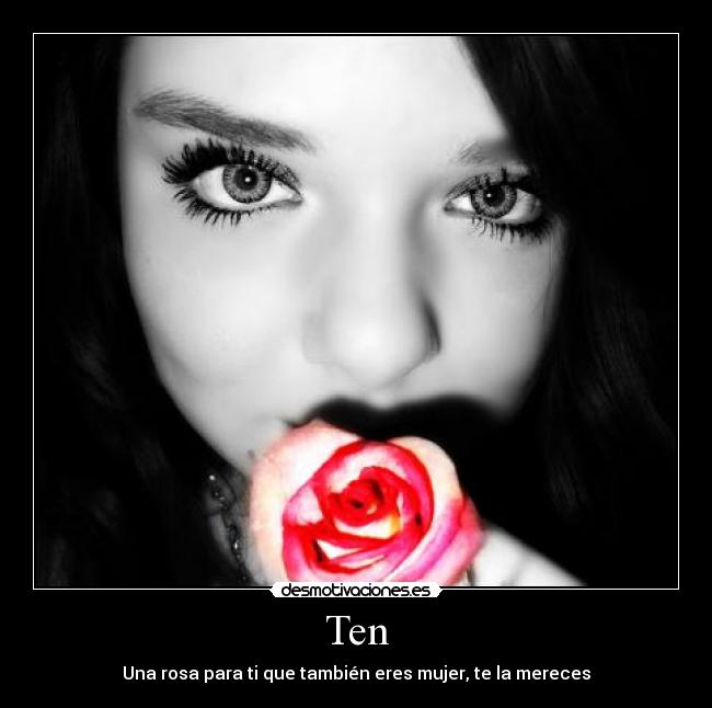 carteles song desmotivaciones