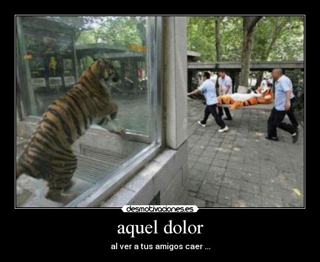 carteles dolor epico desmotivaciones