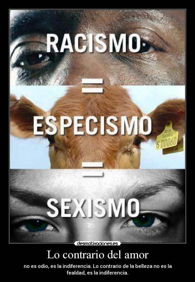 Lo contrario del amor - no es odio, es la indiferencia. Lo contrario de la belleza no es la
fealdad, es la indiferencia.